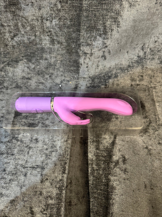 10 Speed Rabbit Vibrator Adult Sex Toy For Women (T21) (P)