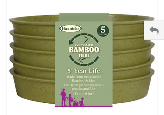 Bamboo Saucer 5 pack Green (S941)