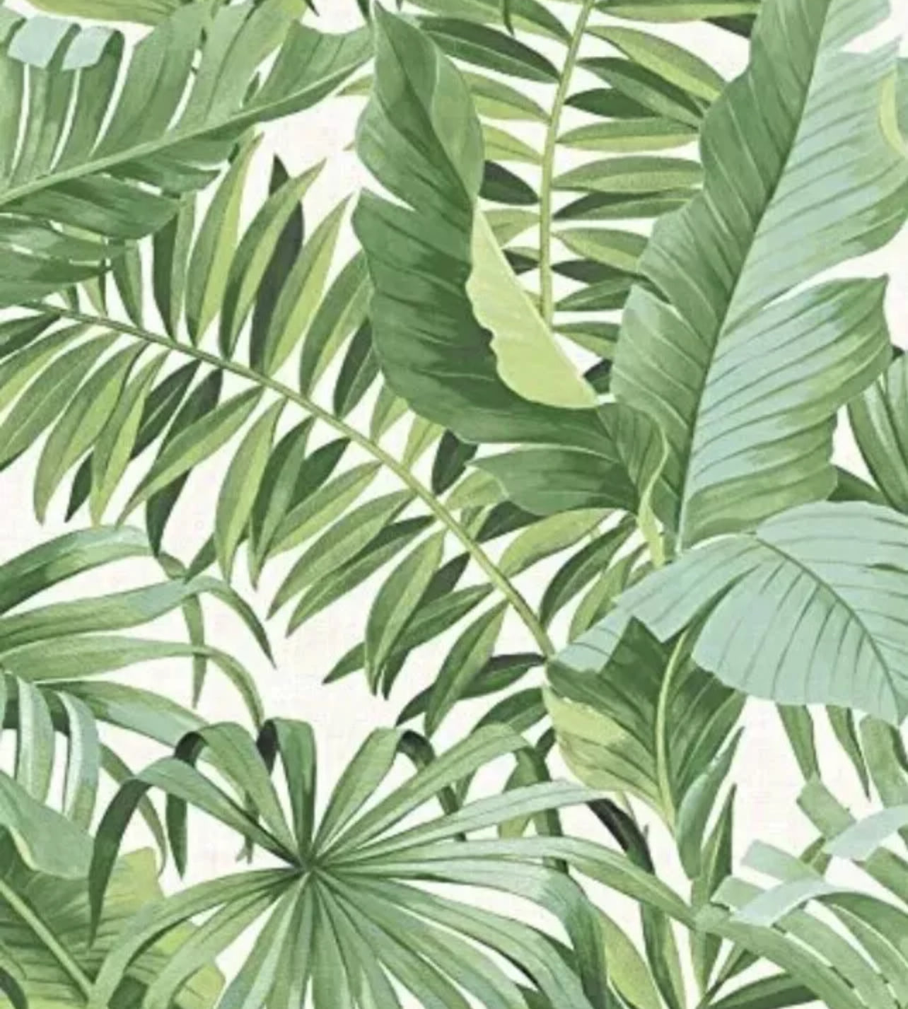 Wallpaper Green Palm Leaf Alfresco A-Street Prints FD24136 (Batch - 18)(R420) (I)