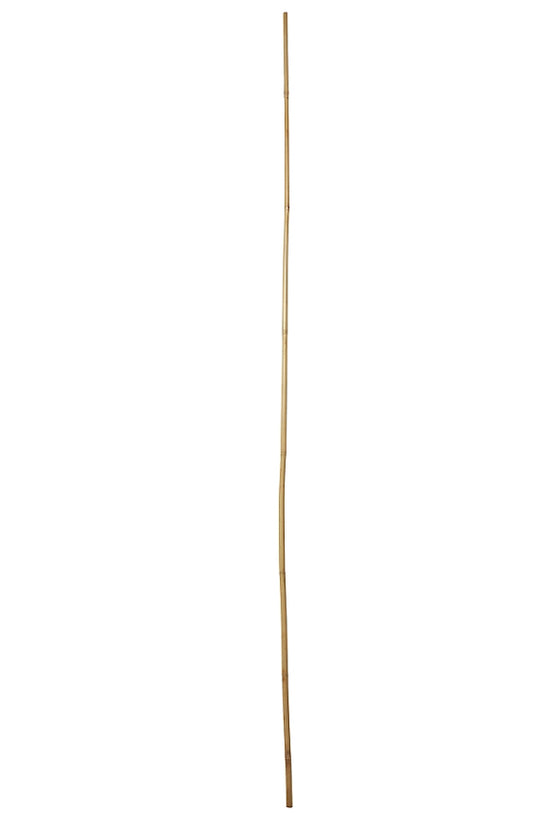 Verve Bamboo Cane 180cm, Pack of 10 (R304)