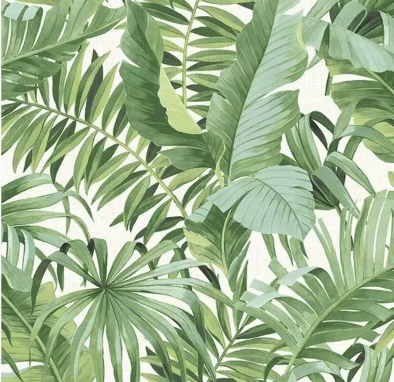 Wallpaper Green Palm Leaf Alfresco A-Street Prints FD24136 (Batch - 18)(R420) (I)