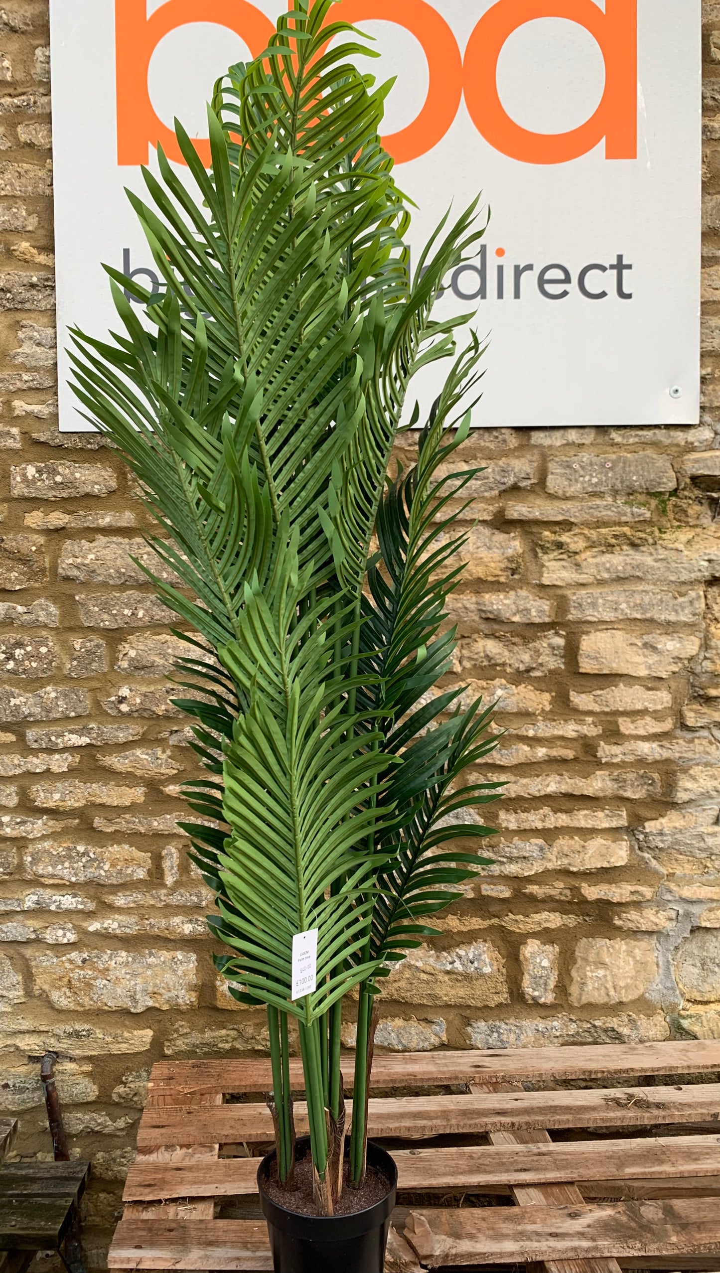 Palm Tree Artificial 150cm (S795)