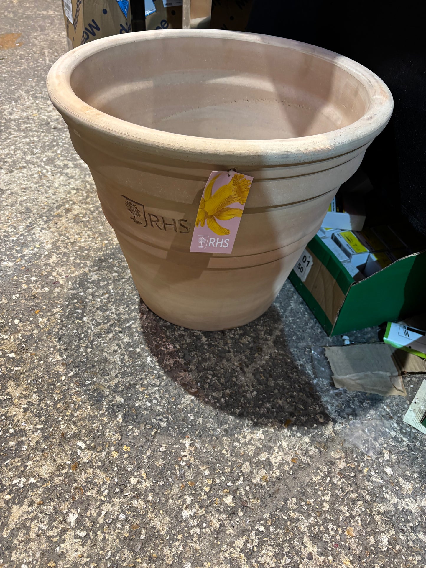 RHS terracotta flower pot (S654)