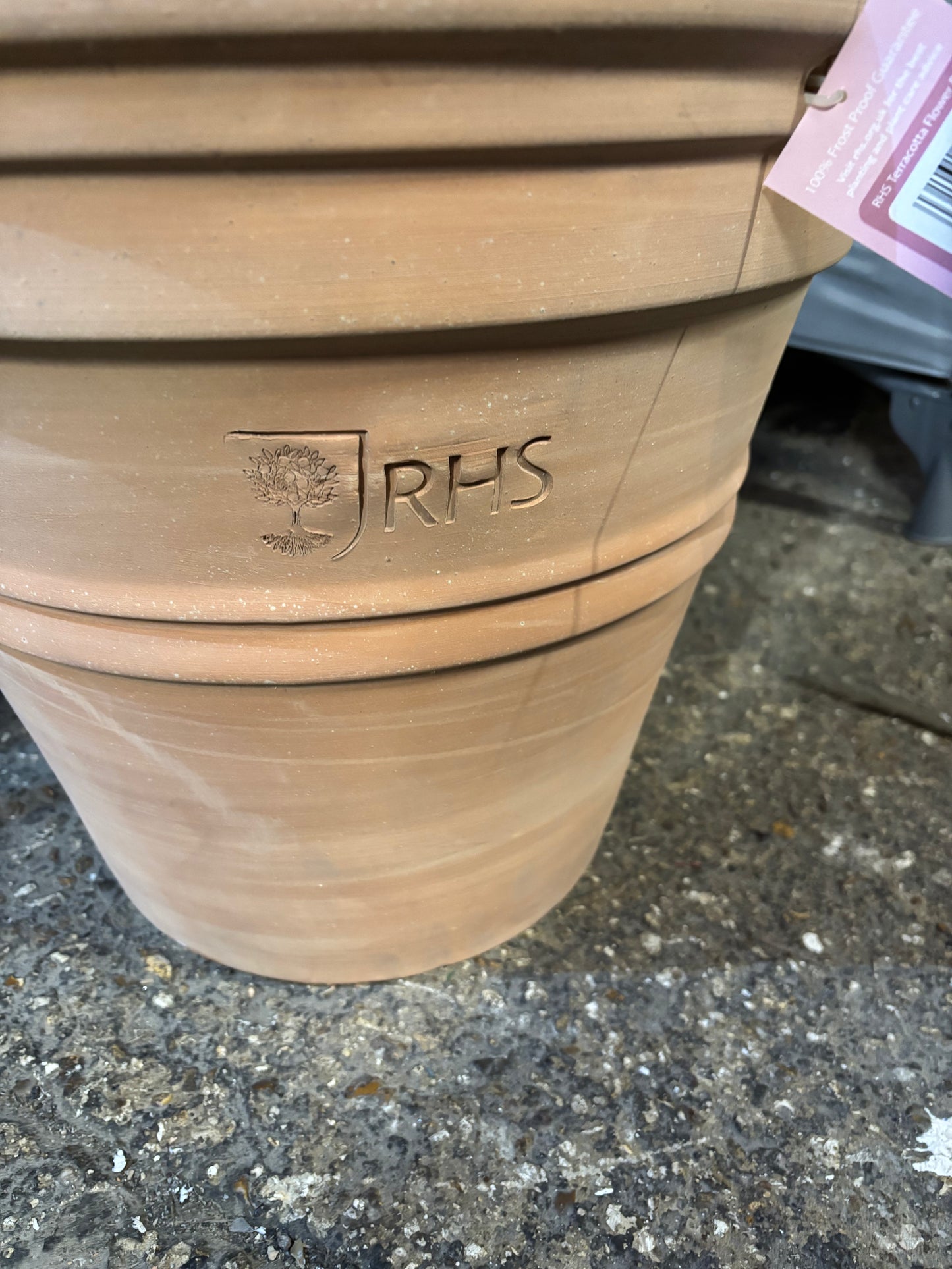 RHS terracotta flower pot (S654)