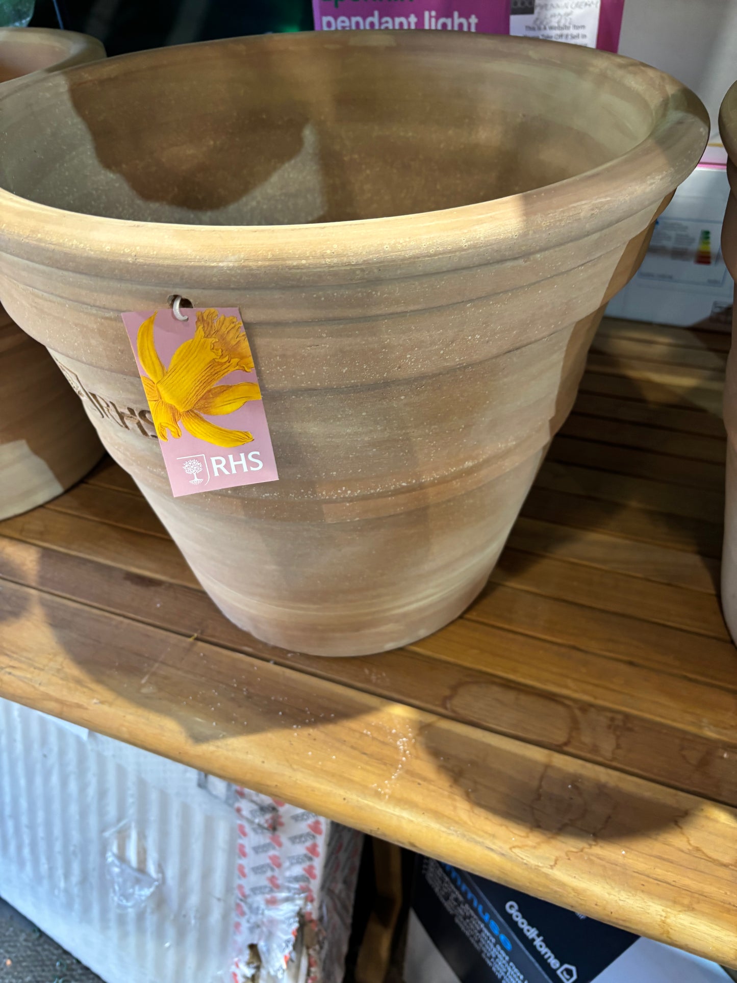 RHS terracotta flower pot (S654)