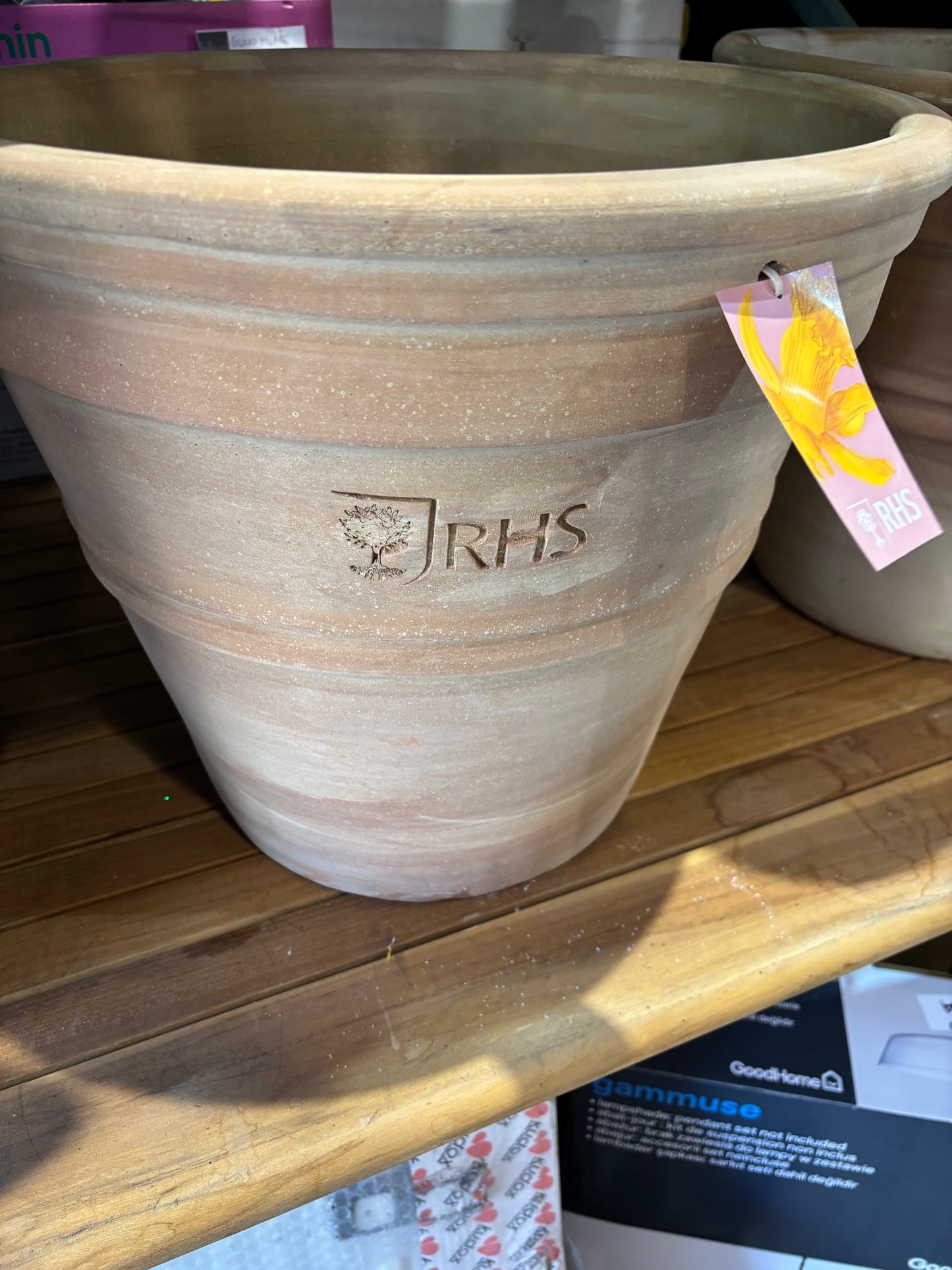 RHS terracotta flower pot (S654)