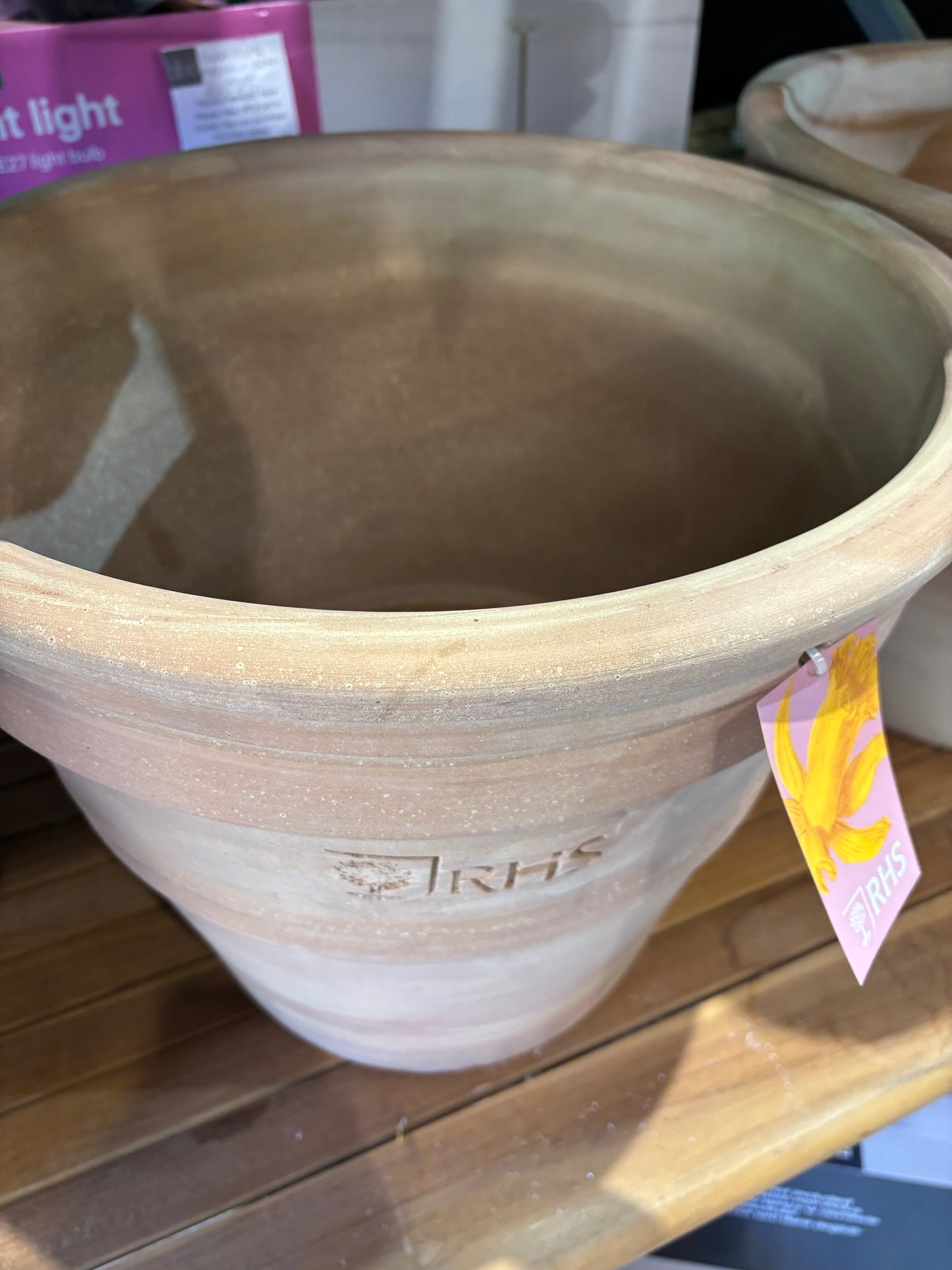 RHS terracotta flower pot (S654)