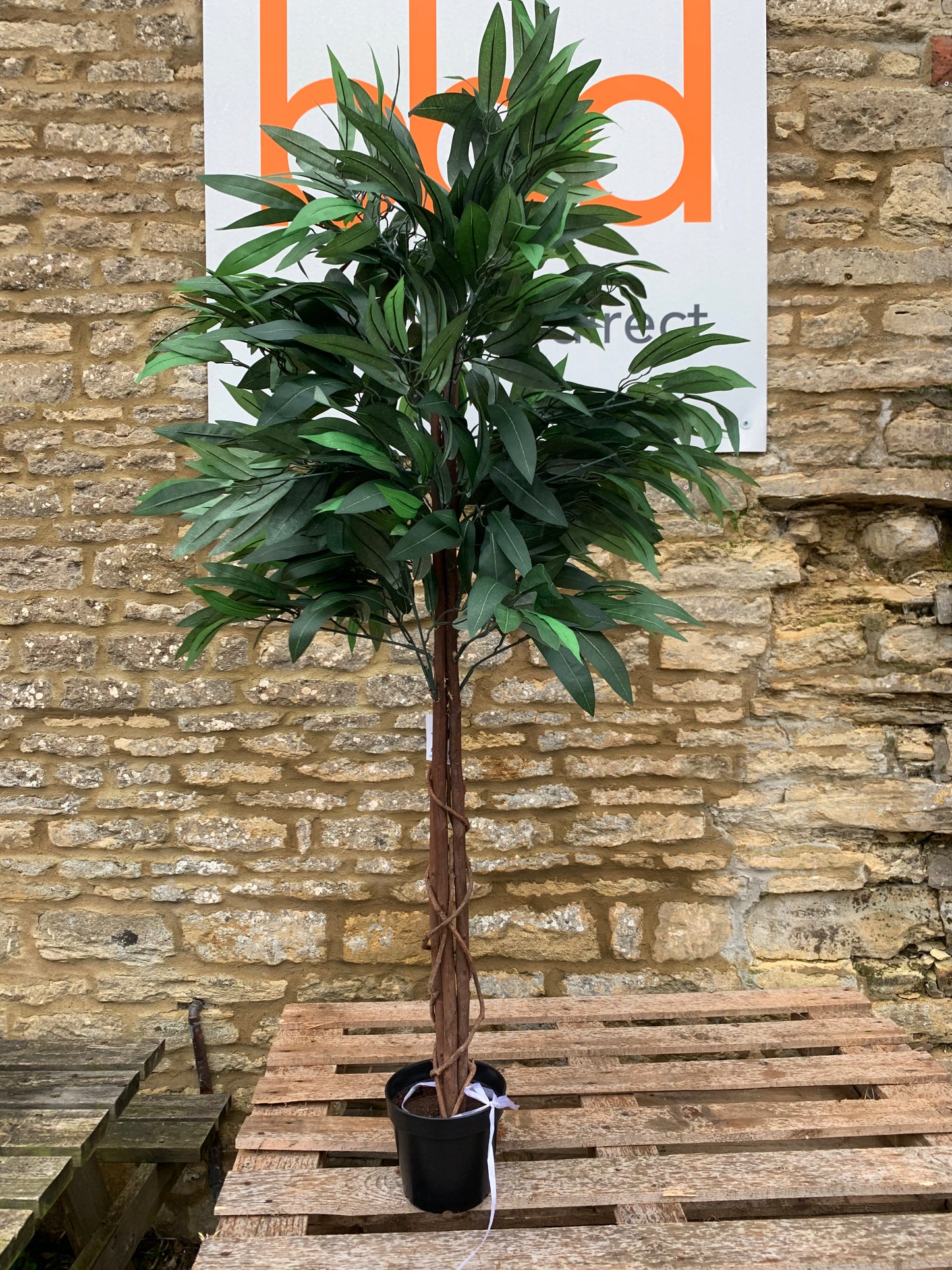 Mango Artificial Tree 150cm (S802) COLLECTION ONLY!
