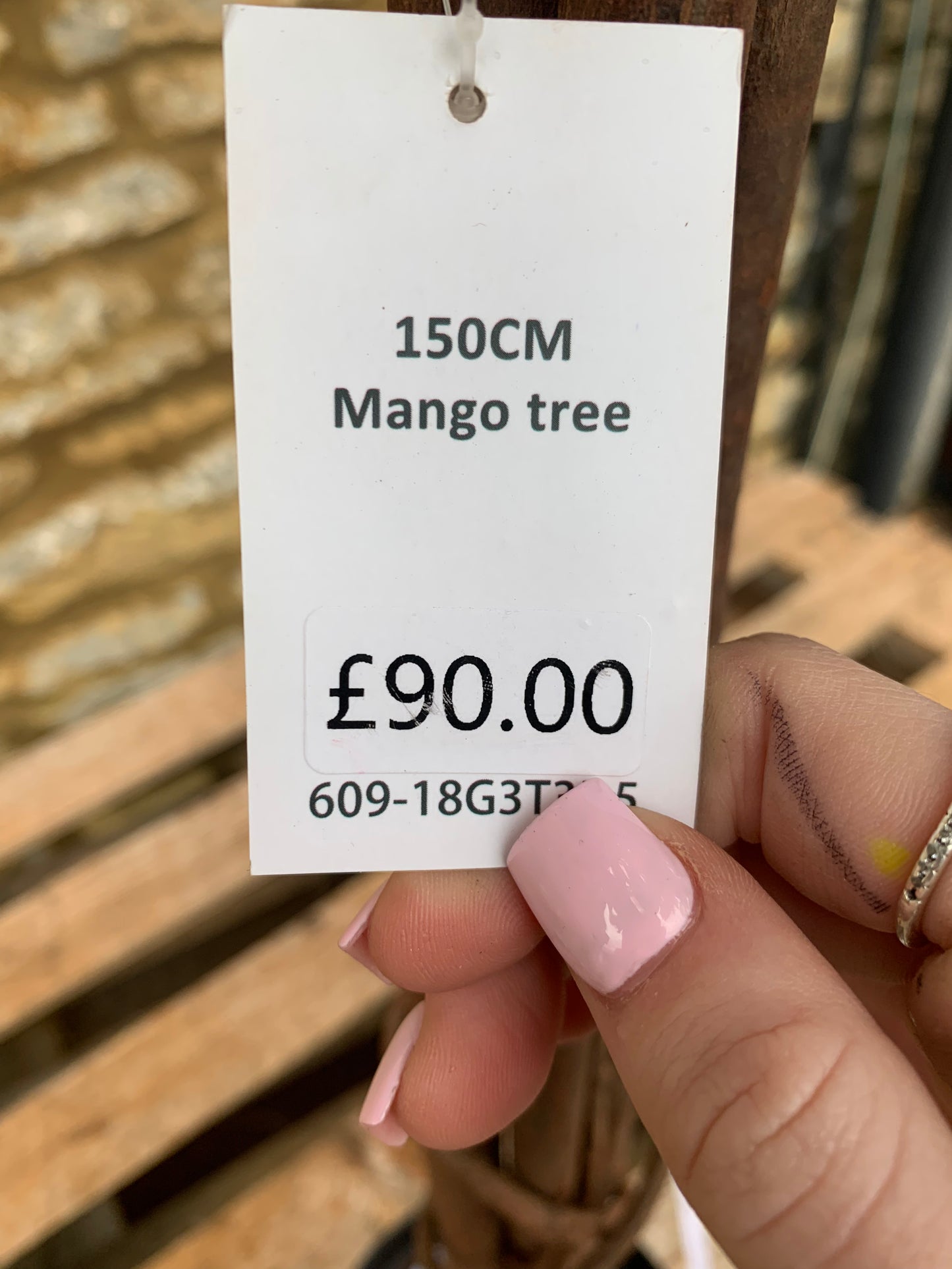 Mango Artificial Tree 150cm (S802) COLLECTION ONLY!