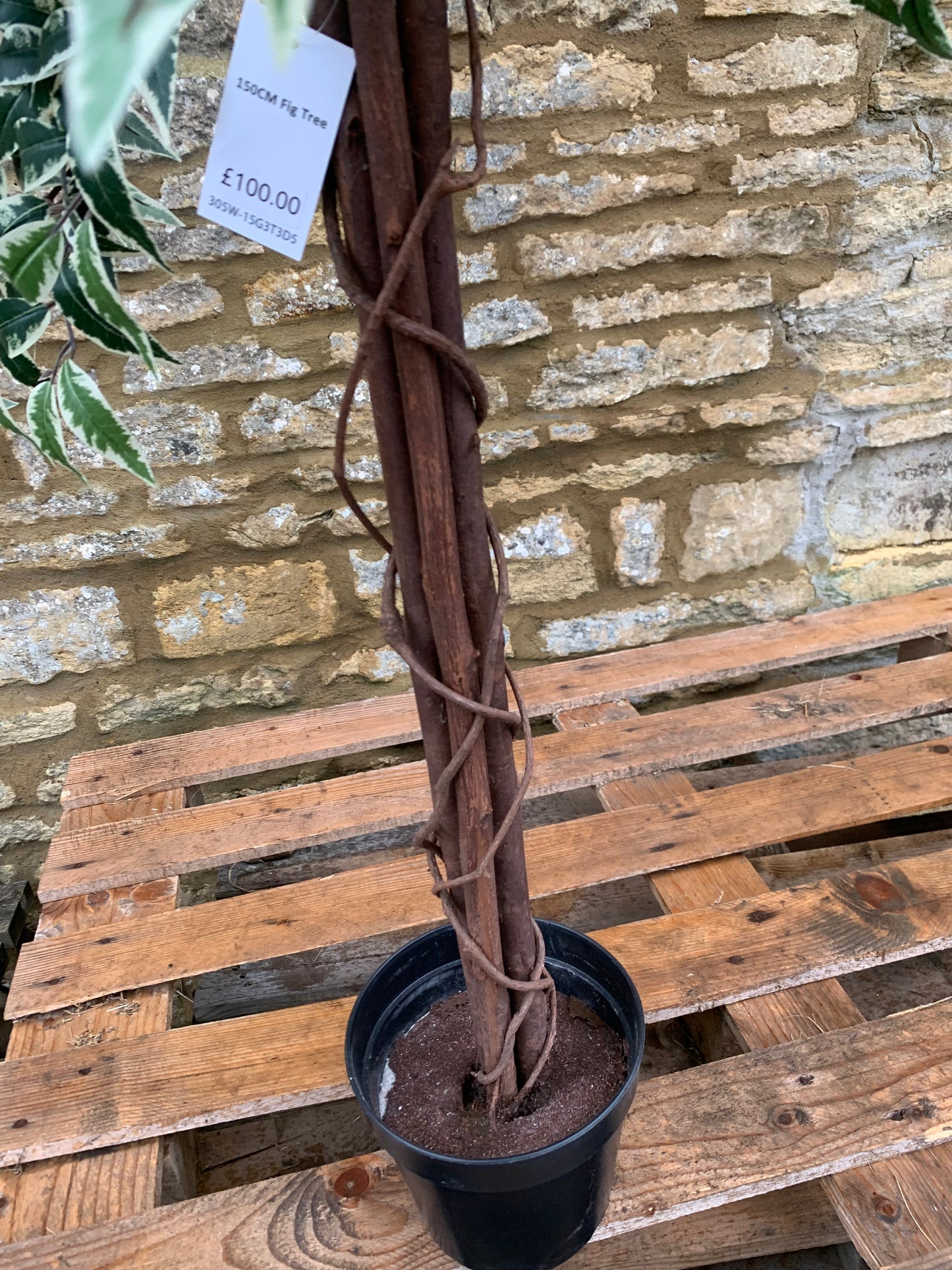Fig Artificial Tree 150cm (S806) COLLECTION ONLY!