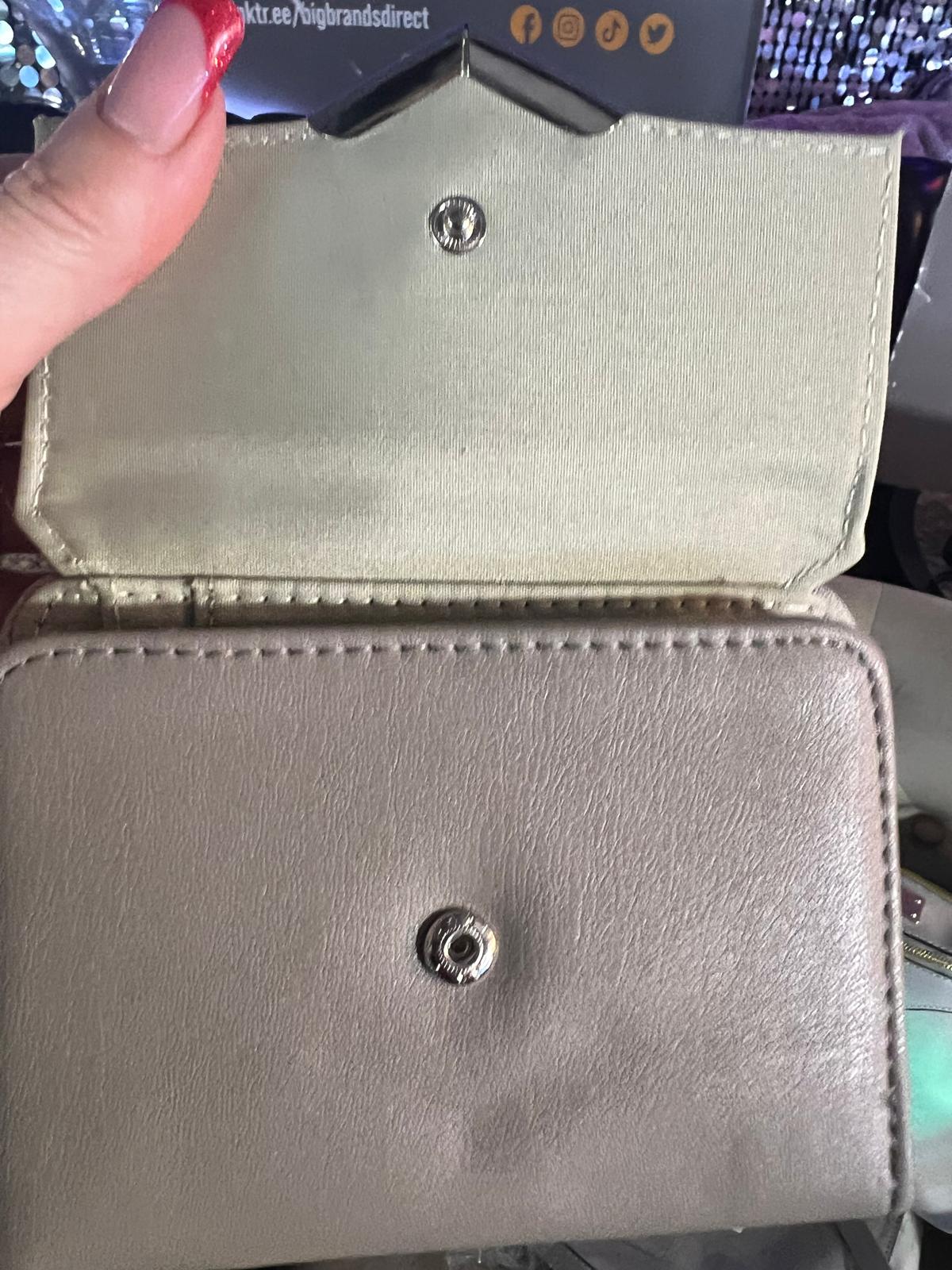 Luxury Purse Secure Zip 15+ Card Slots 2 ID Windows In Mink And Silver Detail (B16)