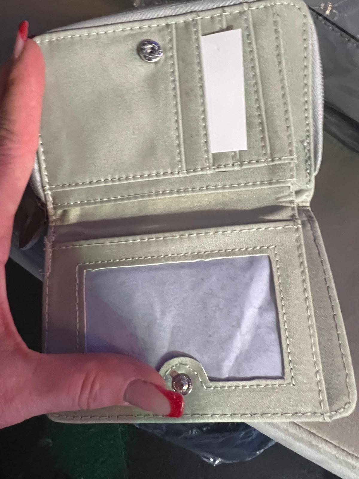 Luxury Purse Secure Zip 15+ Card Slots 2 ID Windows In Mink And Silver Detail (B16)